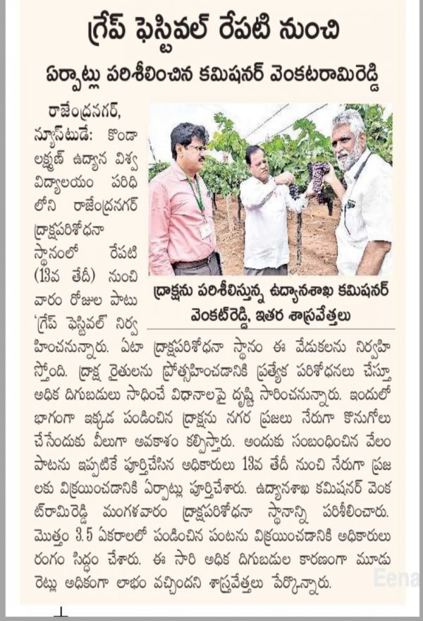 Grape Festival In Rajendra Nagar Attapur